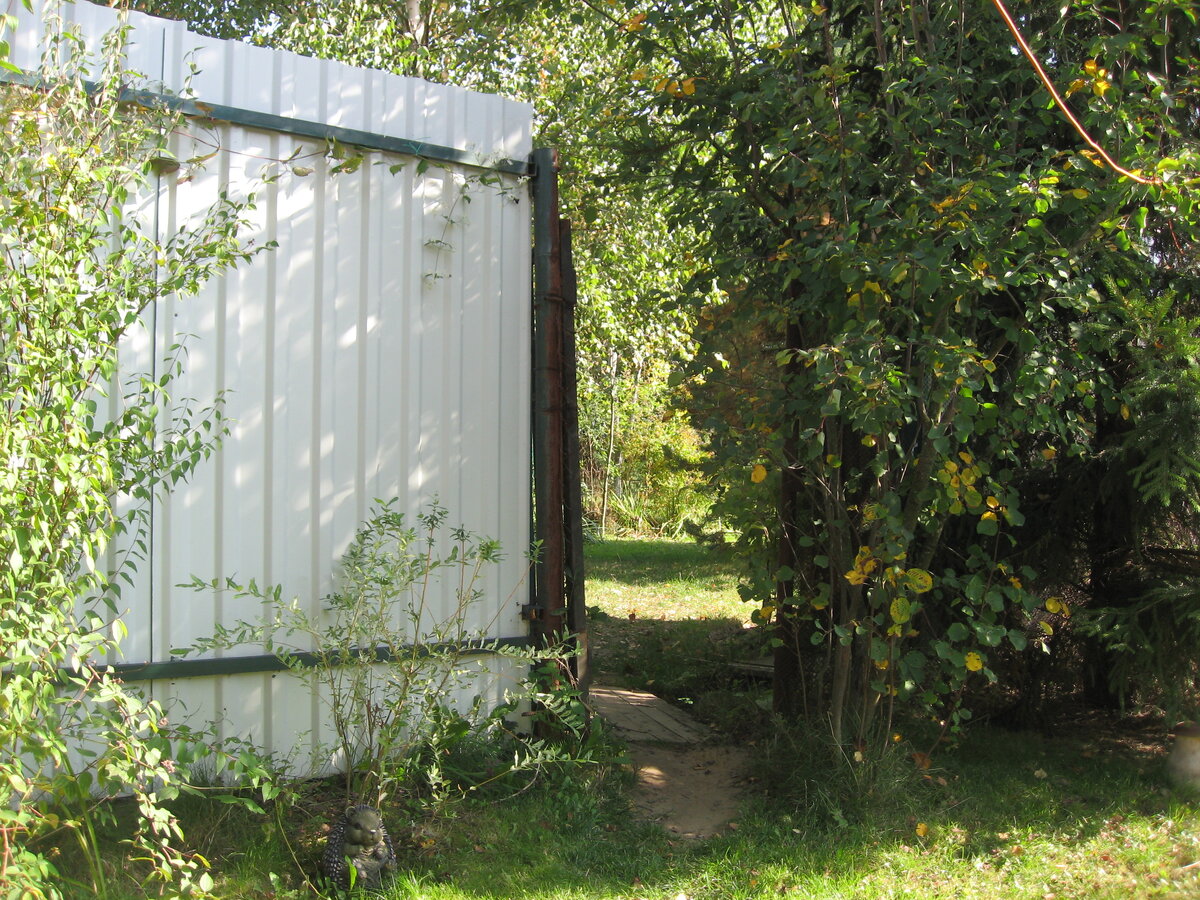 Сразу за этой калиткой наша плантация 