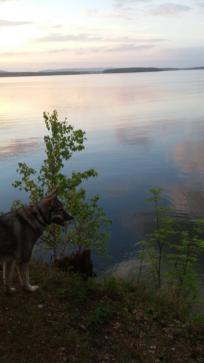 Наслаждаюсь свежим воздухом