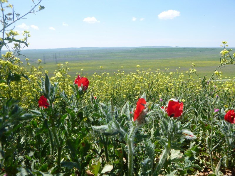 Караларский ландшафтный парк в Крыму