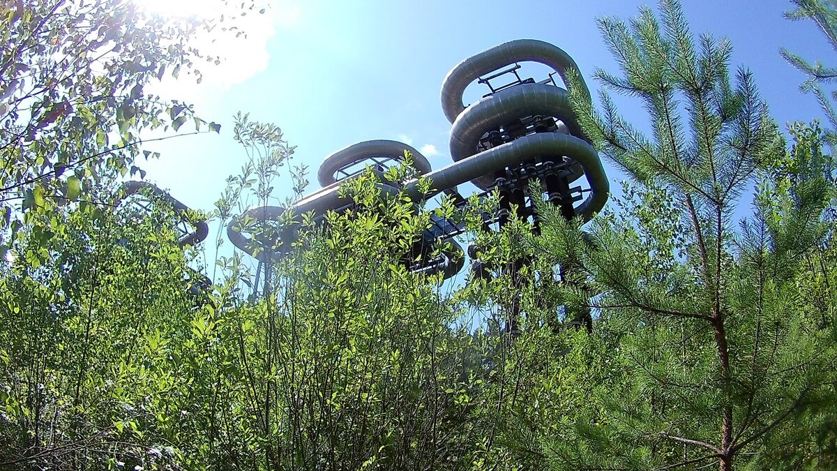 Фото автора. Июль 2019 г. 