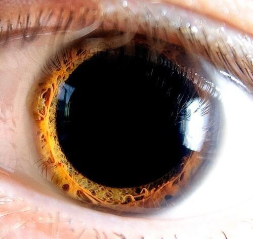 Расширение зрачков