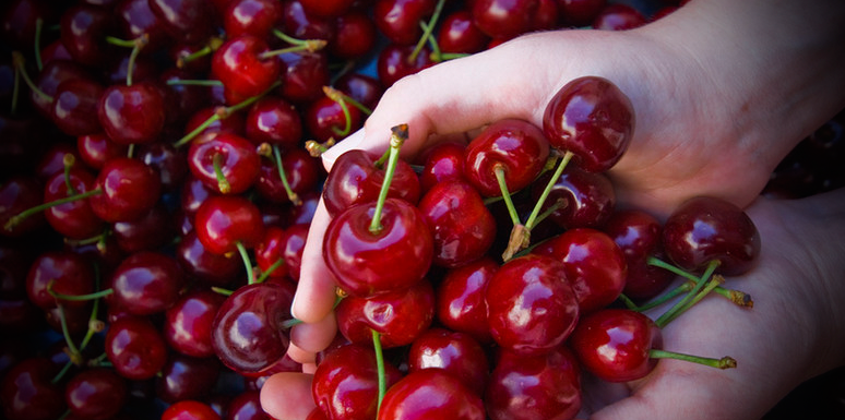 Ели черешню этим летом?