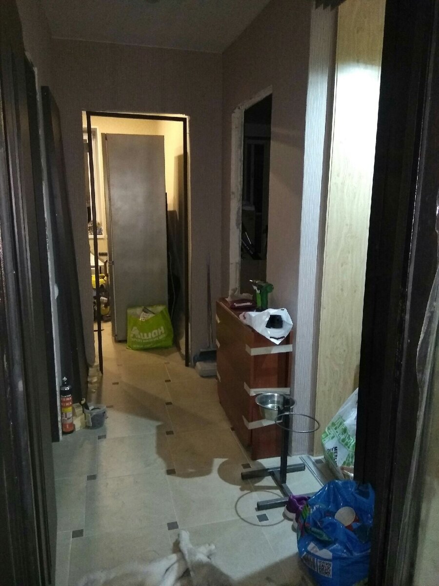 Собственно коридор)) не стояли даже межкомнатные двери. Главное, что собаке было где спать)))