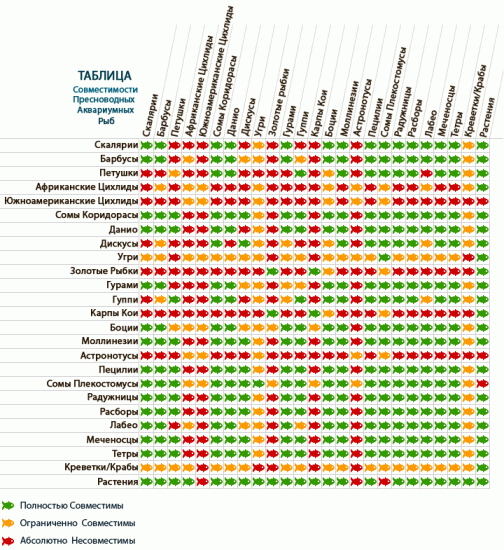 Таблица совместимости пресноводных и аквариумных рыб
