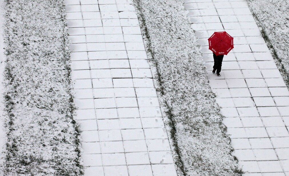 Источник: Reuters