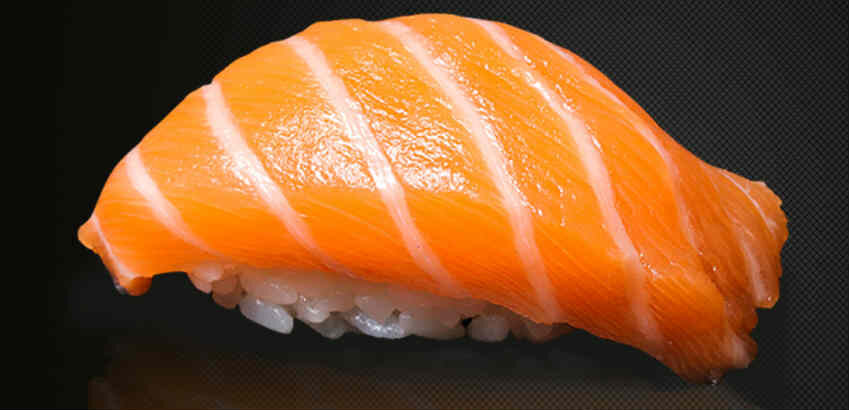 Salmon