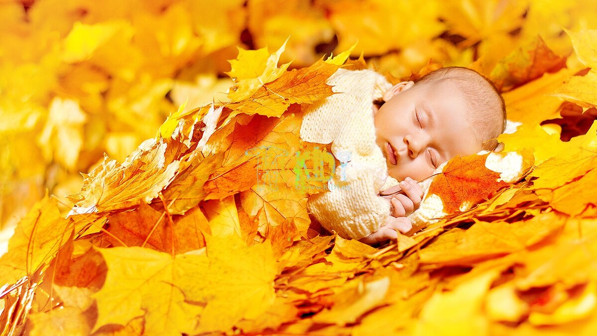 Младенец в листве