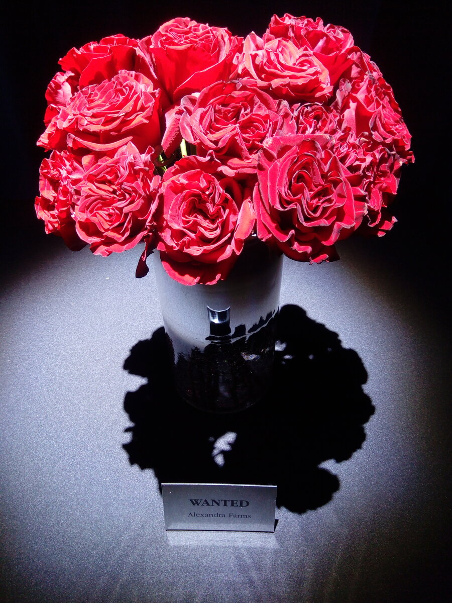 Я тоже хочу у себя на даче такие