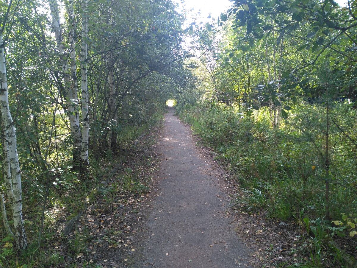 Аллея и никого