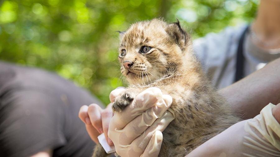 Фото: ТАСС/DPA/Alexander Sommer