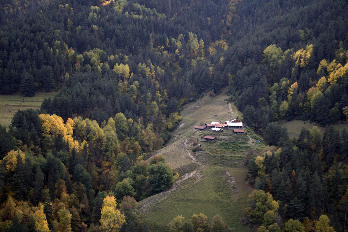 Листайте галерею