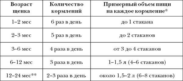 Сколько раз кормить собаку