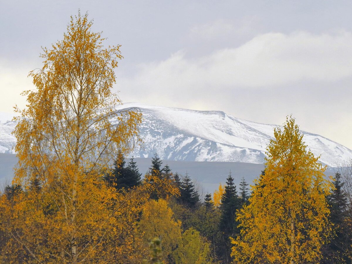 Осень в горах Лаго Наки