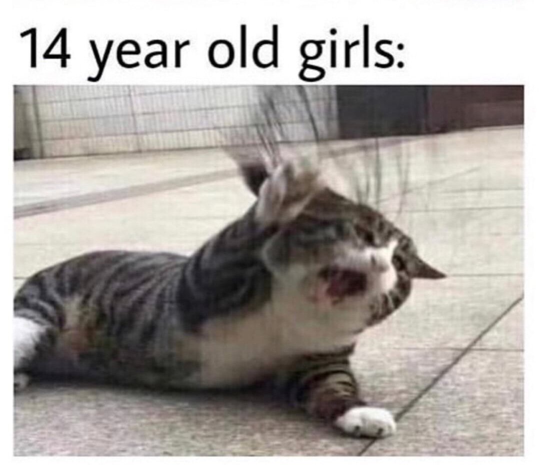 14-летние девочки: