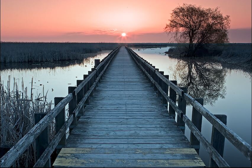 Дорога жизни у каждого своя и главное - чтобы она была твоя собственная...