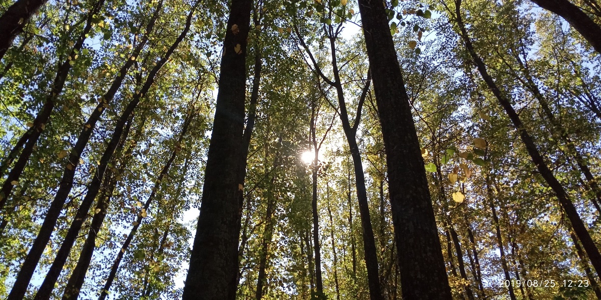 You're silent,
I'm screaming.
You stand,
I whisper.
I whisper after you,
But you're not around.
Fog covered all the streets,
No strength to shout.