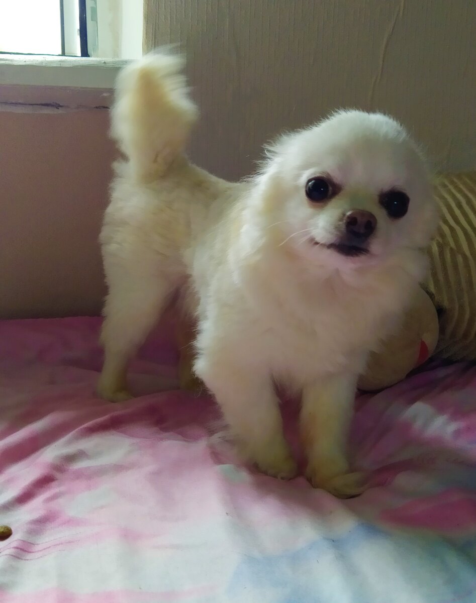 Проша улыбается