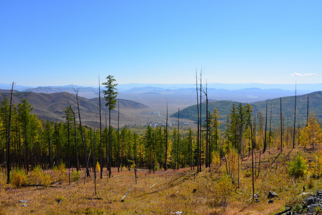  
Нет, это не Алтай... Хотя и похож. Хотите расскажу Вам как я провел день выборов?
