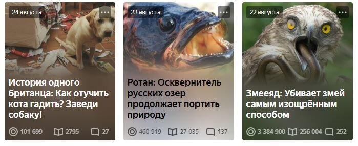 Актуальная статистика 15 сентября