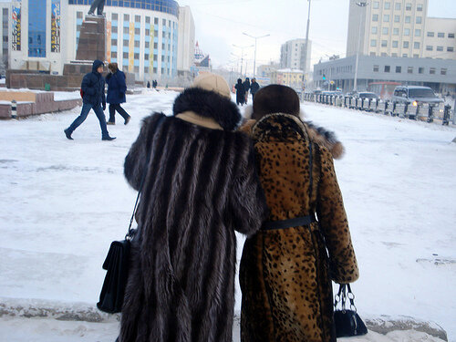 фото из интернета