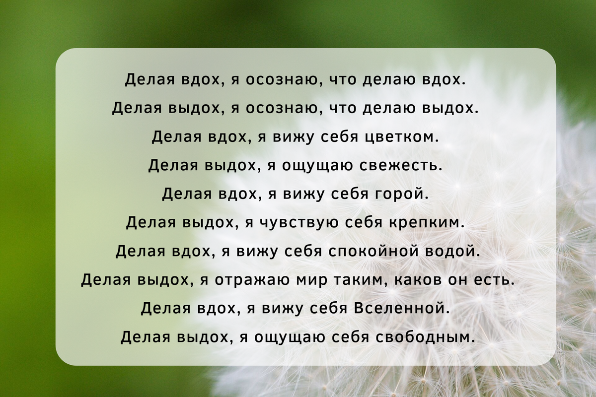 Эффективная медитация, которая займет не более 5 минут | Правила творчества  | Дзен