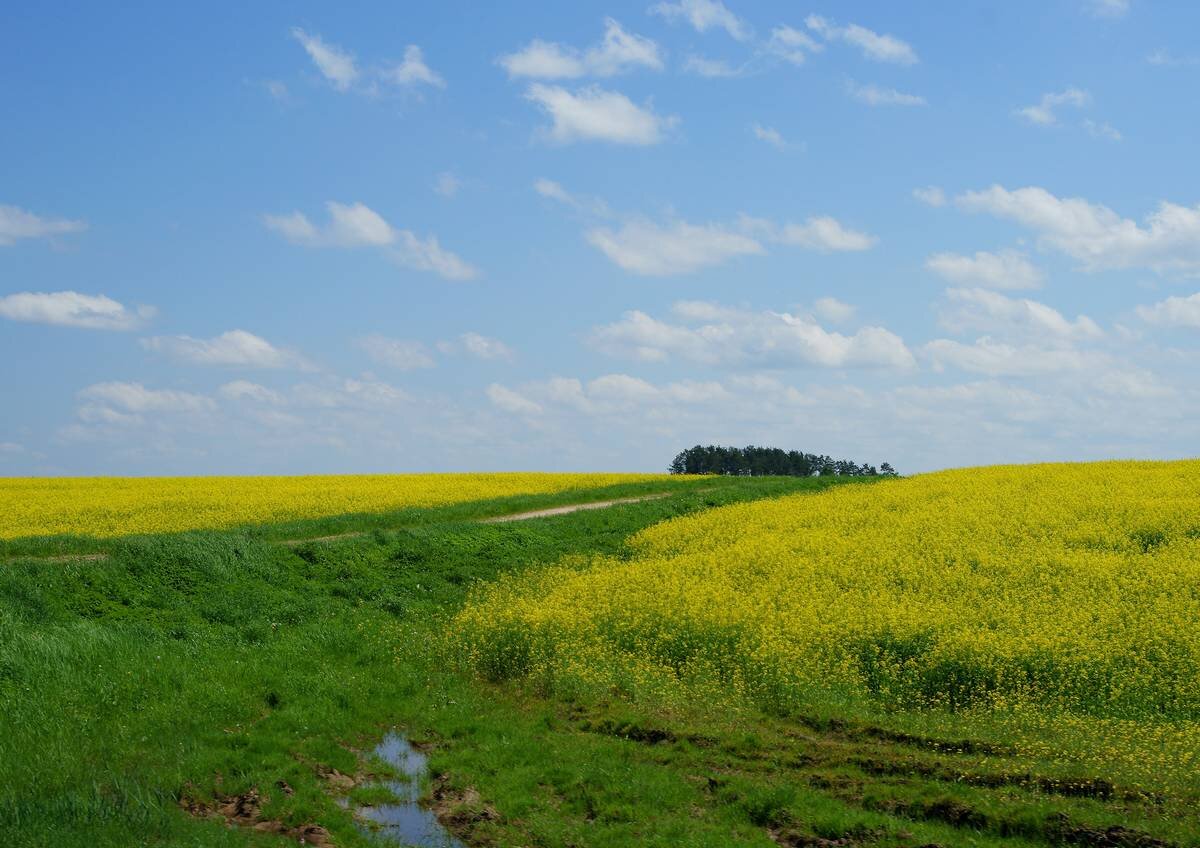 АВТОР СТАТЬИ: ДМИТРИЙ ПОБЕДИНСКИЙ
