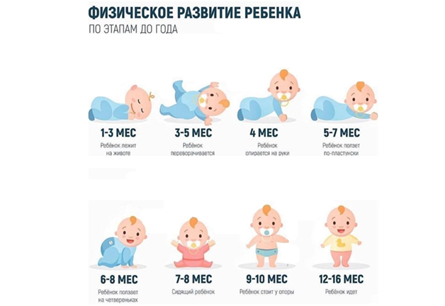 Нескольких месяцев до 2 3. Этапы развития младенца по месяцам. Периоды развития новорожденного по месяцам. Новорожденный ребенок развитие по месяцам. Схема развития малыша по месяцам до года.