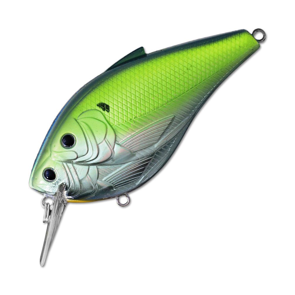 Фотография взята из Яндекс картинок