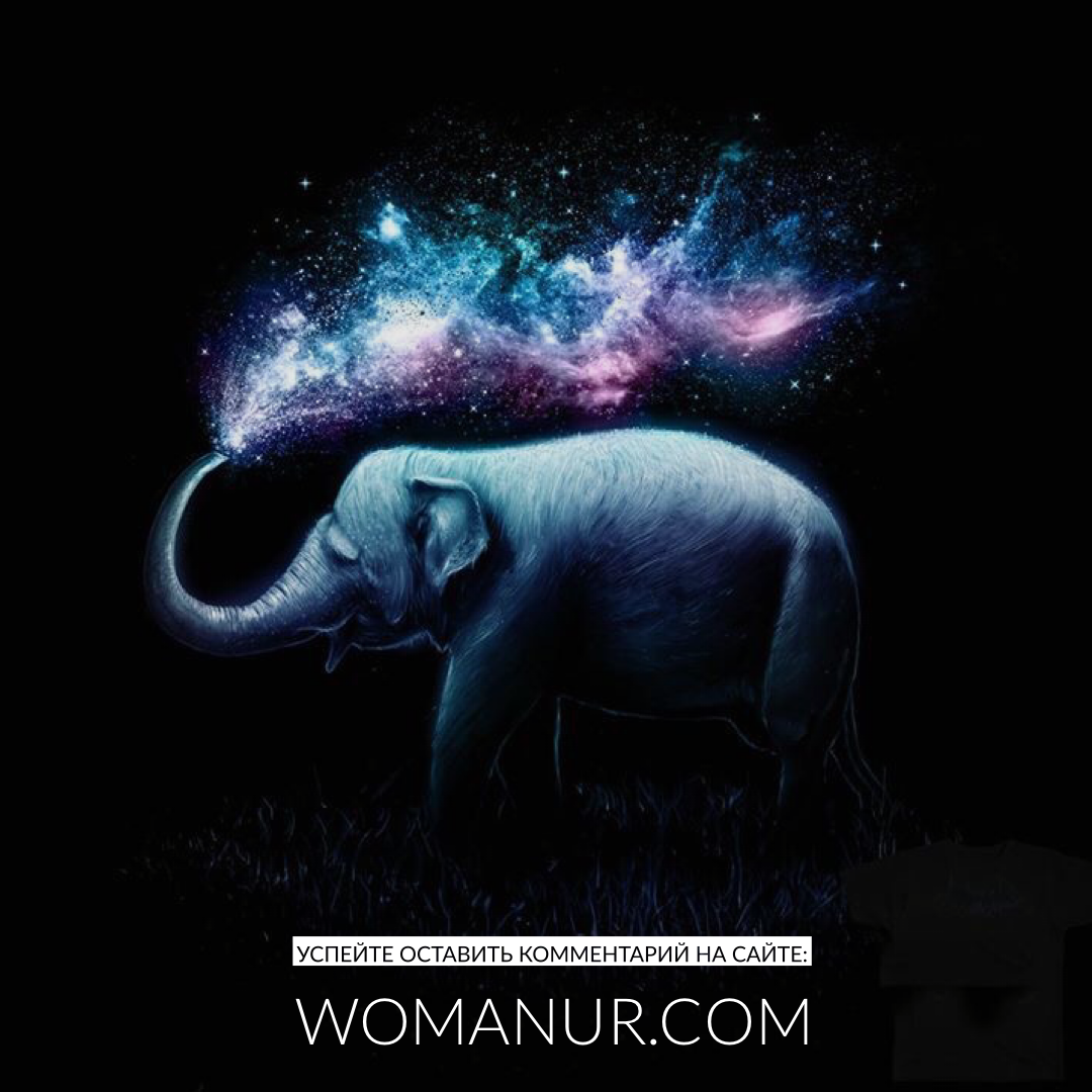 Все права защищены ©