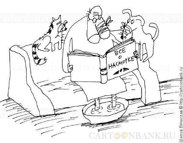 Шарж с с сайта twitter.com блог Шилова Вячеслава /Фото из открытых источников/