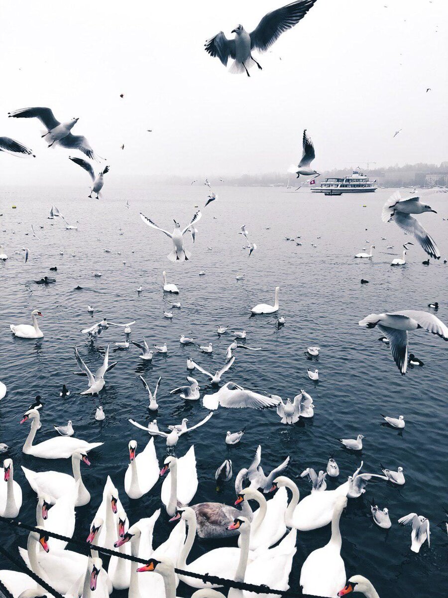 Читаем доконца.