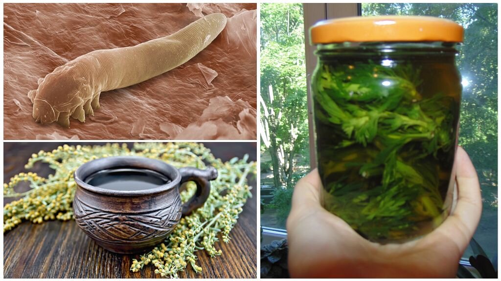 Источник фото: https://apest.ru/