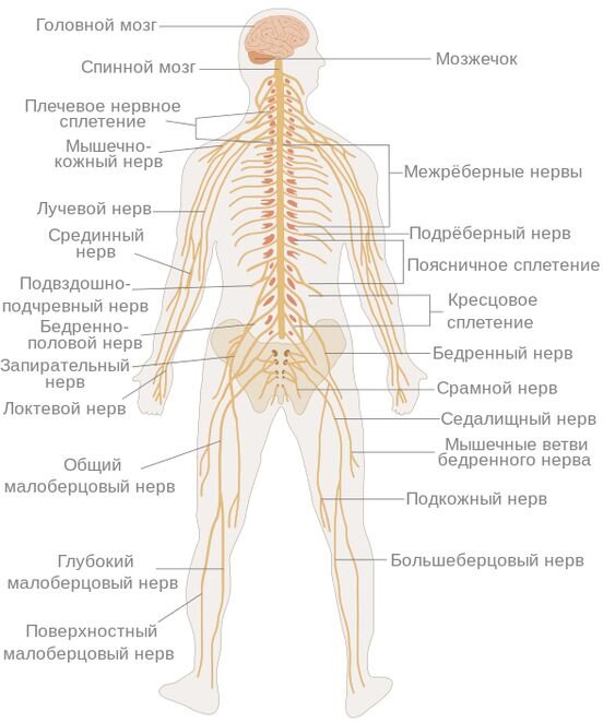 https://www.pinterest.ru/pin/607000856007266020