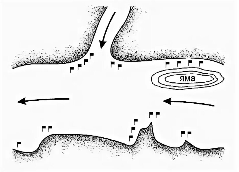 Места стоянок налима