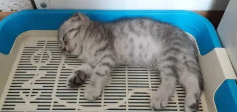 Источник: pinterest.com