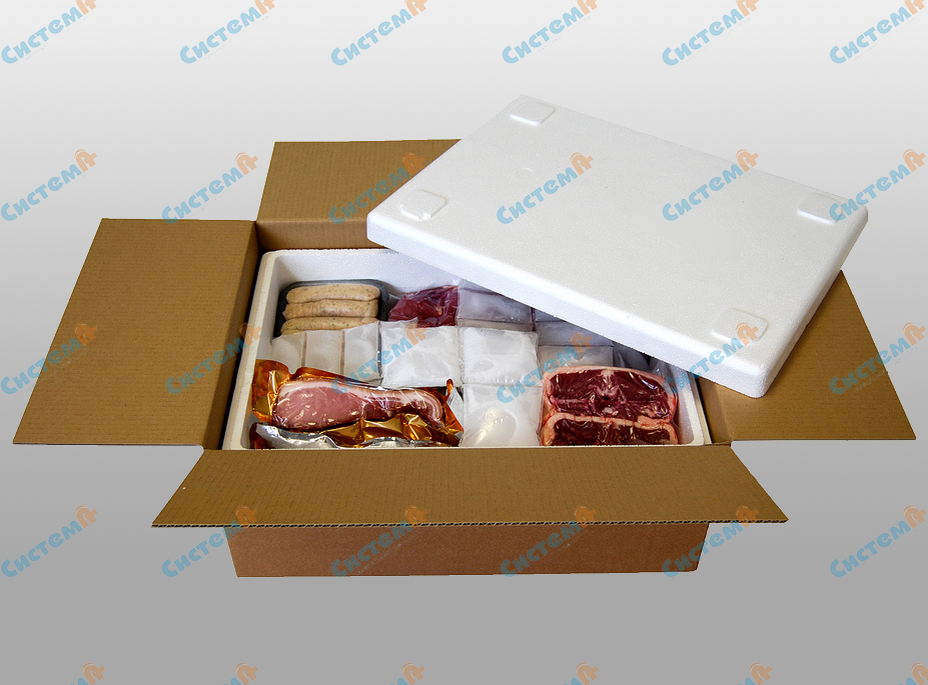 Какие термоконтейнеры выбрать для перевозки мяса и рыбы? | Упаковка | Дзен
