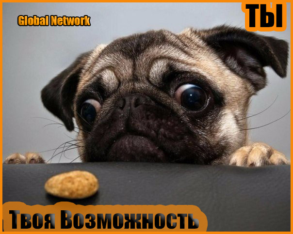 Когда видишь, что это шанс… Но ты боишься(