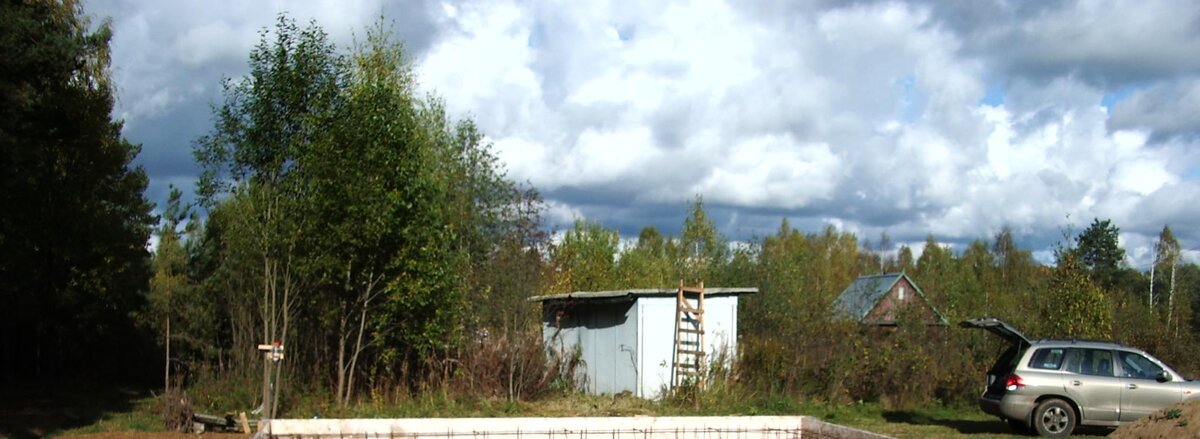 Так участок выглядел до расчистки. 15 соток, из которых кустами заросли... все 15.