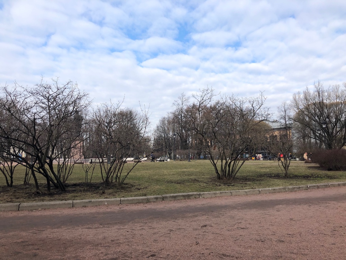 Где-то в Питере