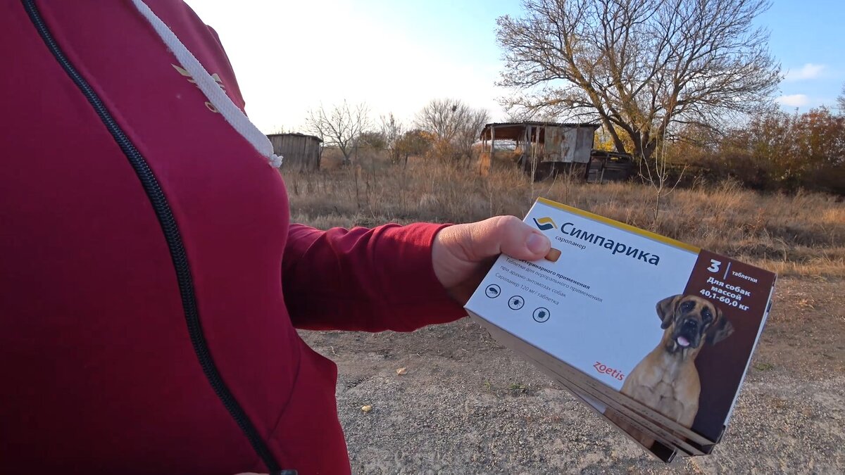 Симпарика. Препарат для собак от блох и клещей.