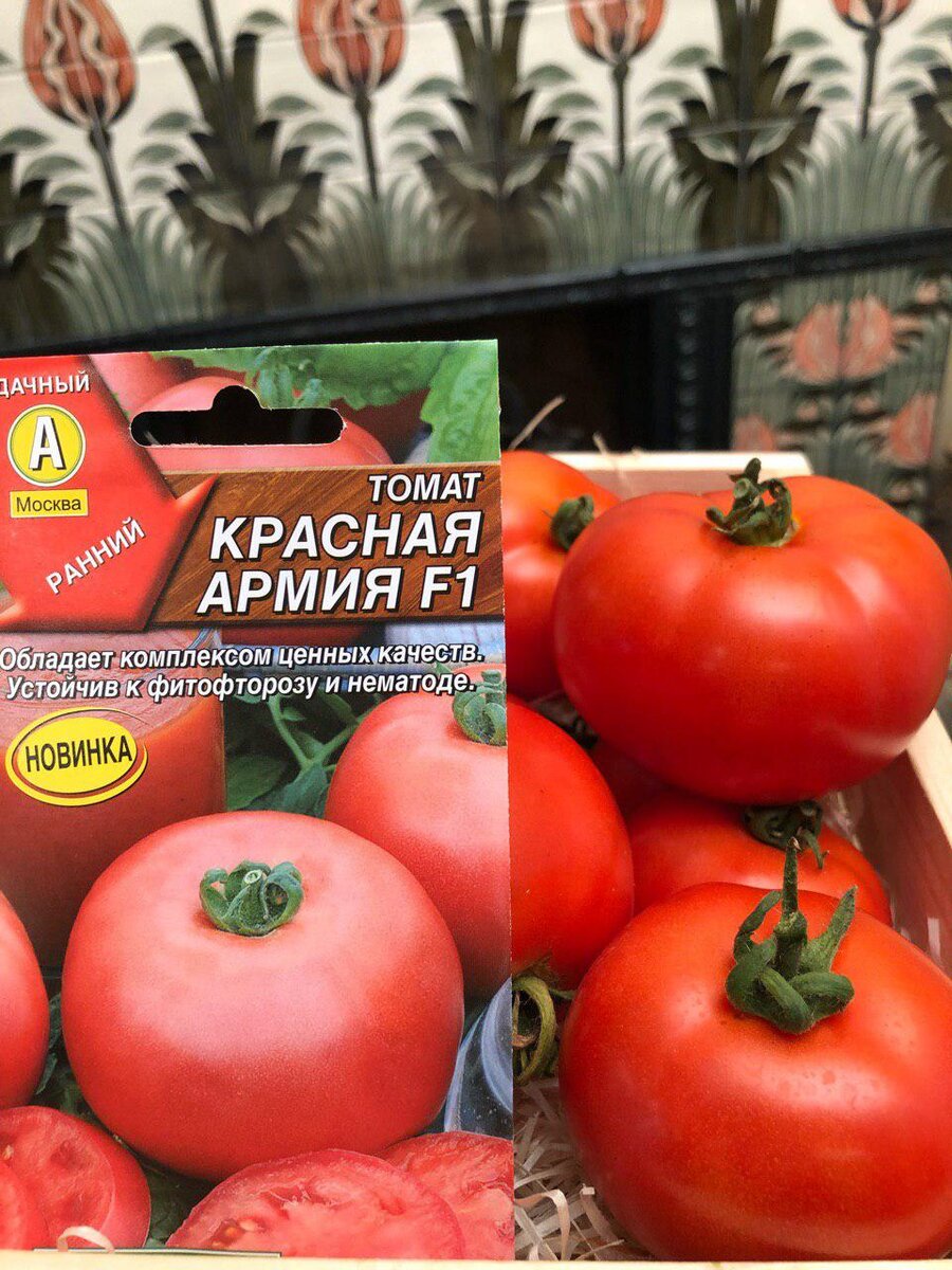 Семена помидоры красная армия