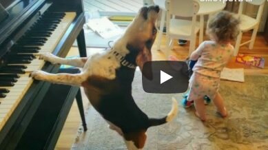 Буду благодарна, если поставите лайк и подпишетесь!  Вы поможете развитию канала