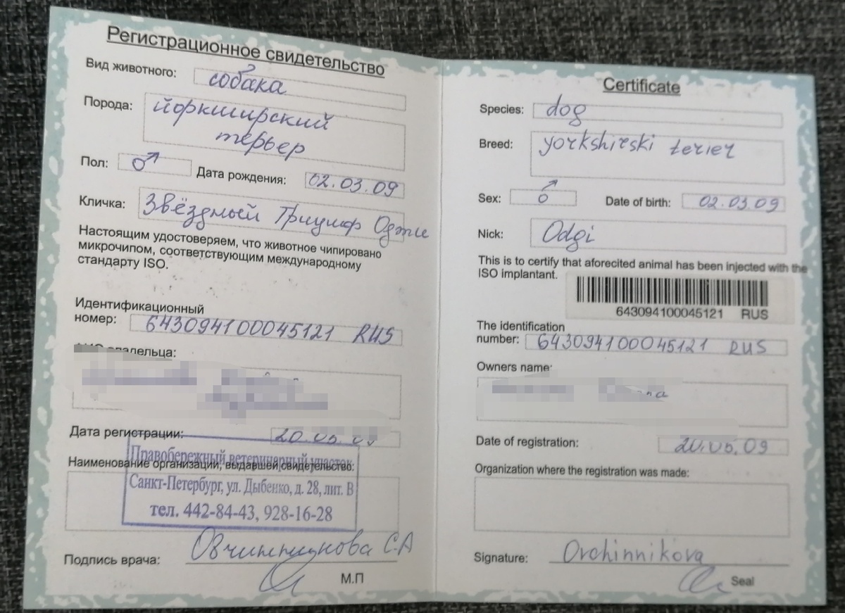 Сертификат. Из личного архива 