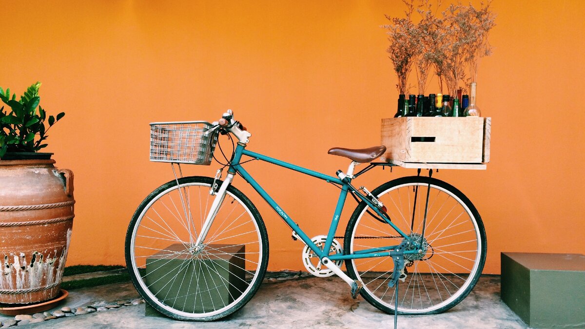 Найдены истории: «Велосипед матку фаллос» – Читать
