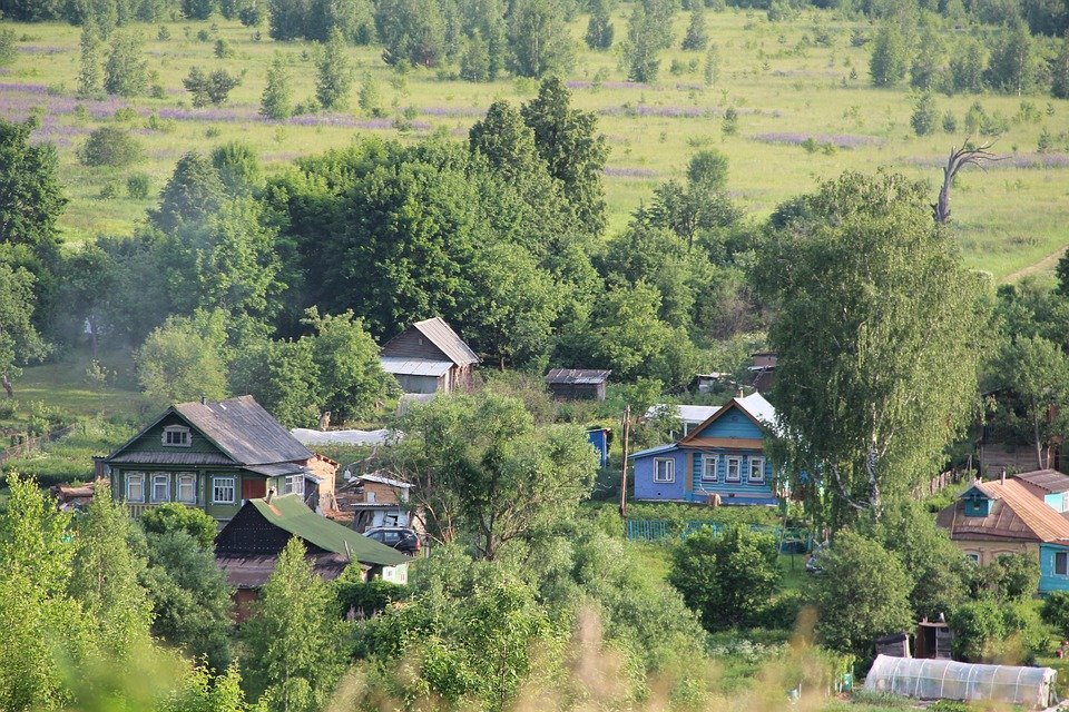 изображение с сайта https://pixabay.com/
