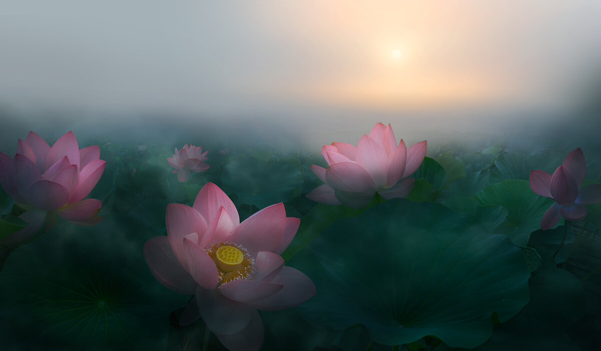 sahalin-fotoart.livejournal.com