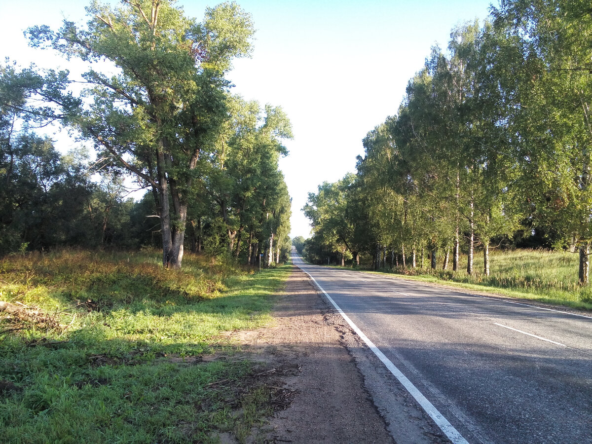 По трассе до поворота на Крупышево