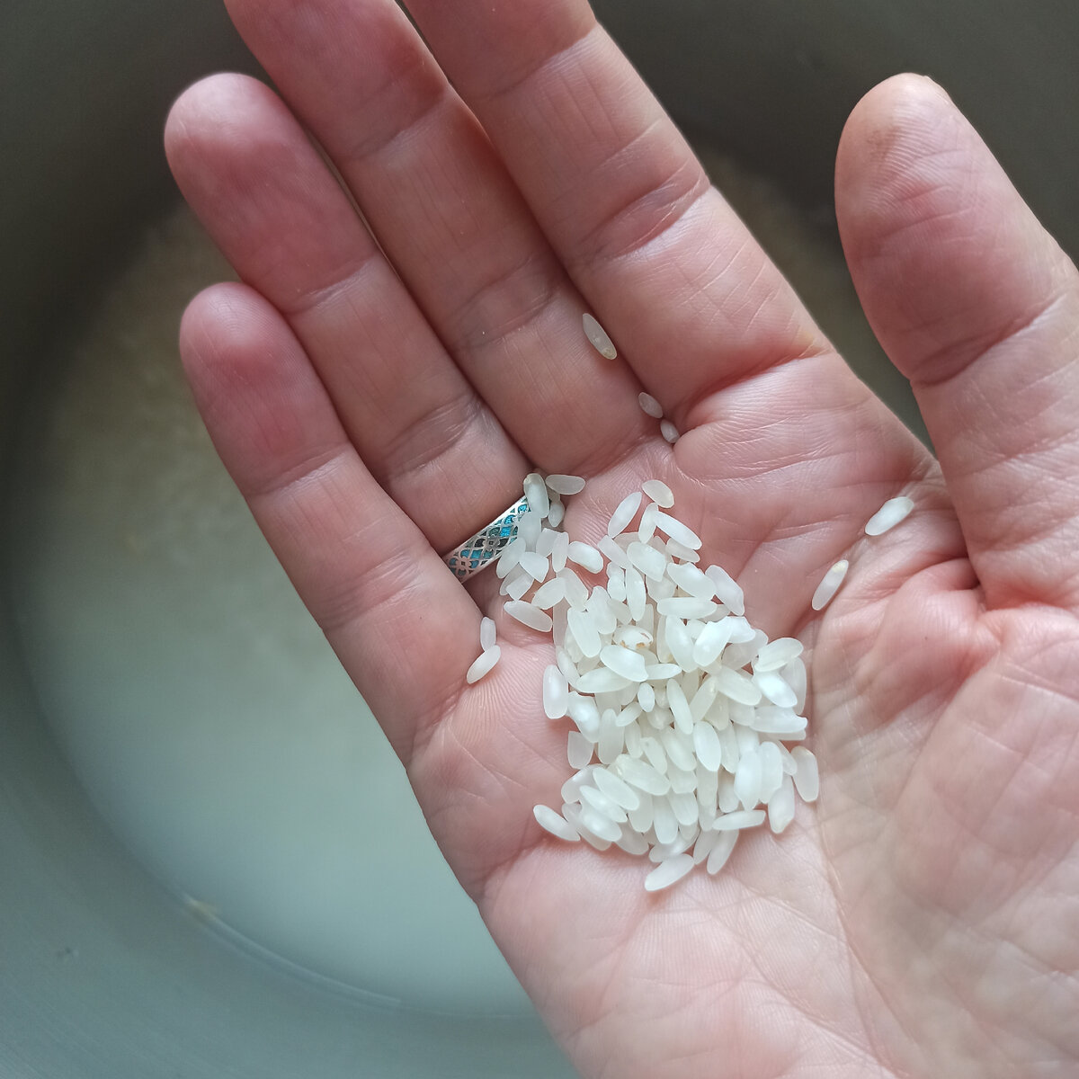 Нужен хороший круглый рис.