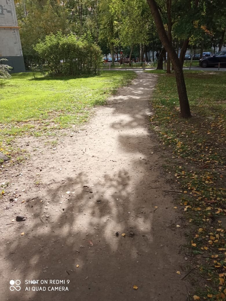 Здесь когда - то росла трава