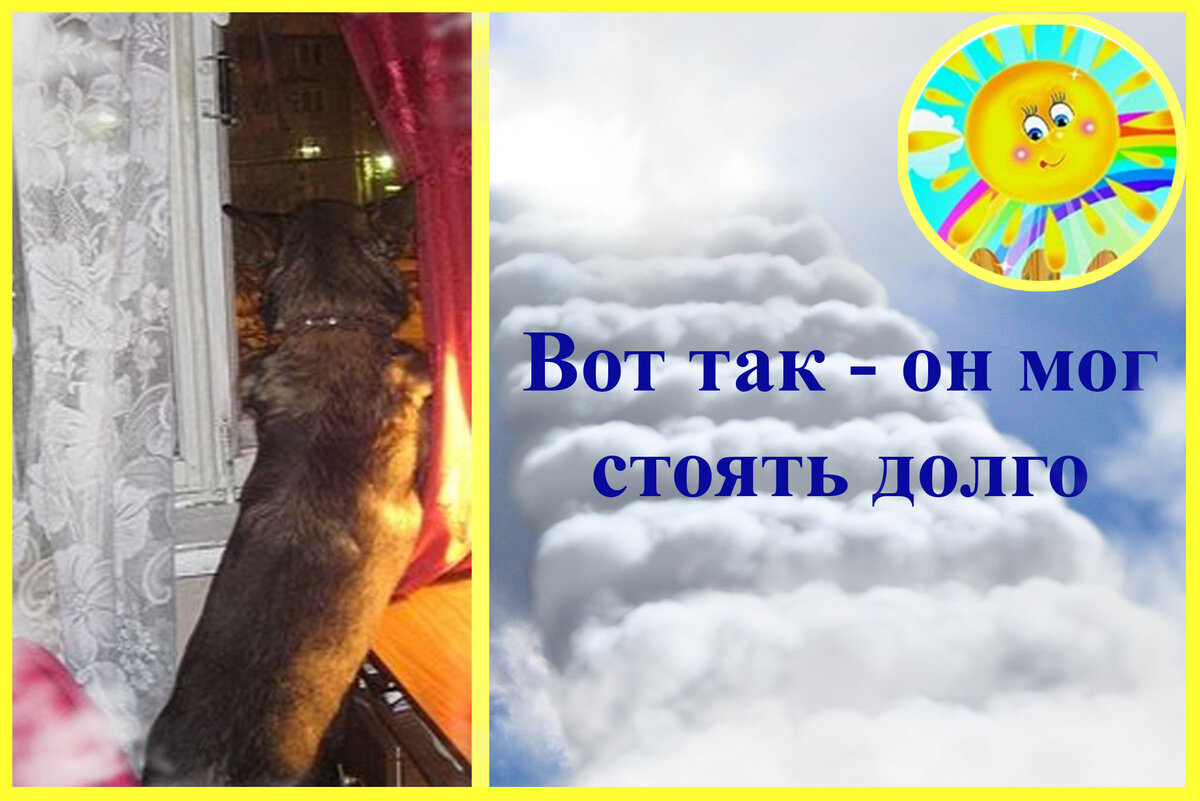 Фото читателя сделано в 2011г. (Из комментариев к статье: Могут ли умершие перемещать предметы, а животные чувствовать смерть хозяев. Жизнь после ... есть)